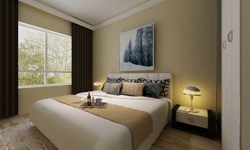 依云首府100㎡现代简约