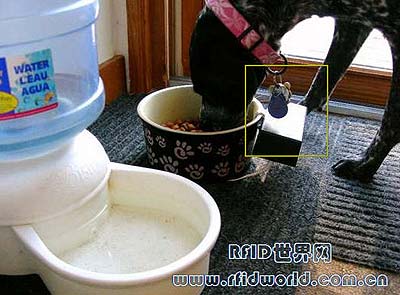 RFID宠物狗食物门禁系统