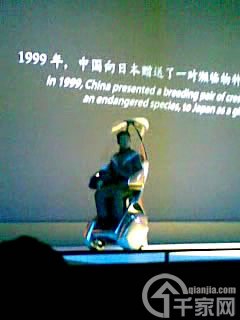 世博游攻略:体验未来智能生活篇