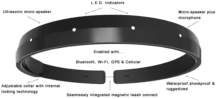 dotelligent_belt_b2d146d4-da22-447d-ab0d-a7549fd7e526