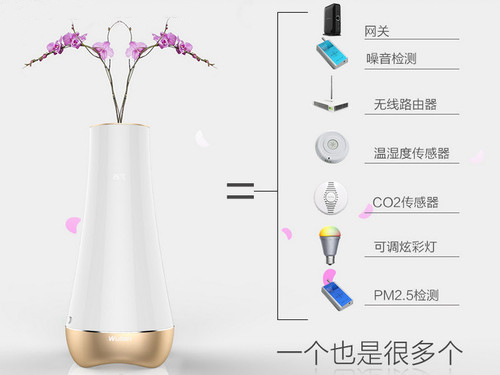 花瓶.jpg